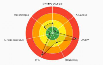 Bilan de Santé de Base