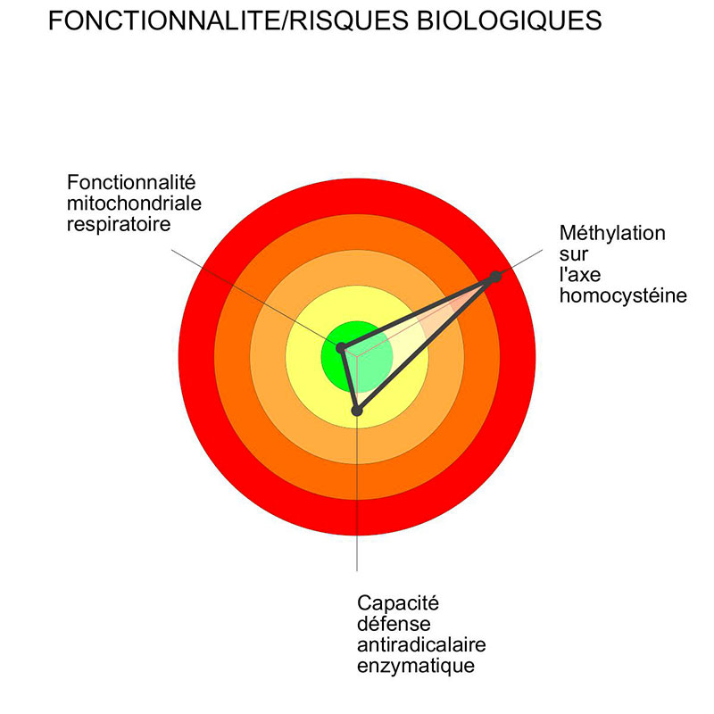 Bilan d’Optimisation Fertilité (BILOF)
