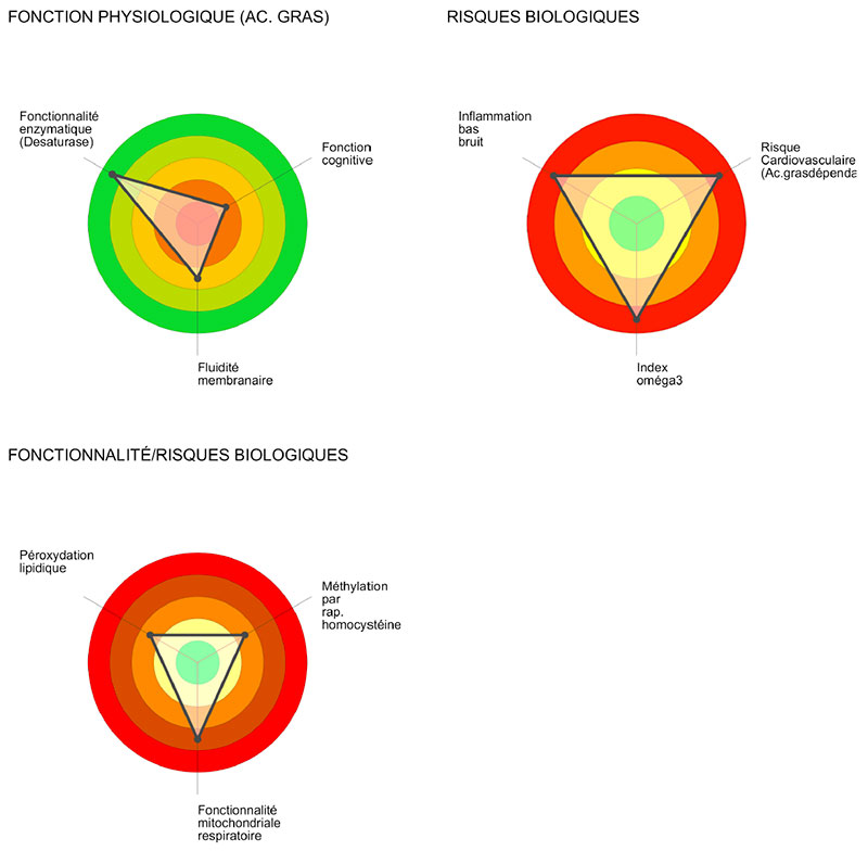 Bilan d’Optimisation Nutritionnel (BON)