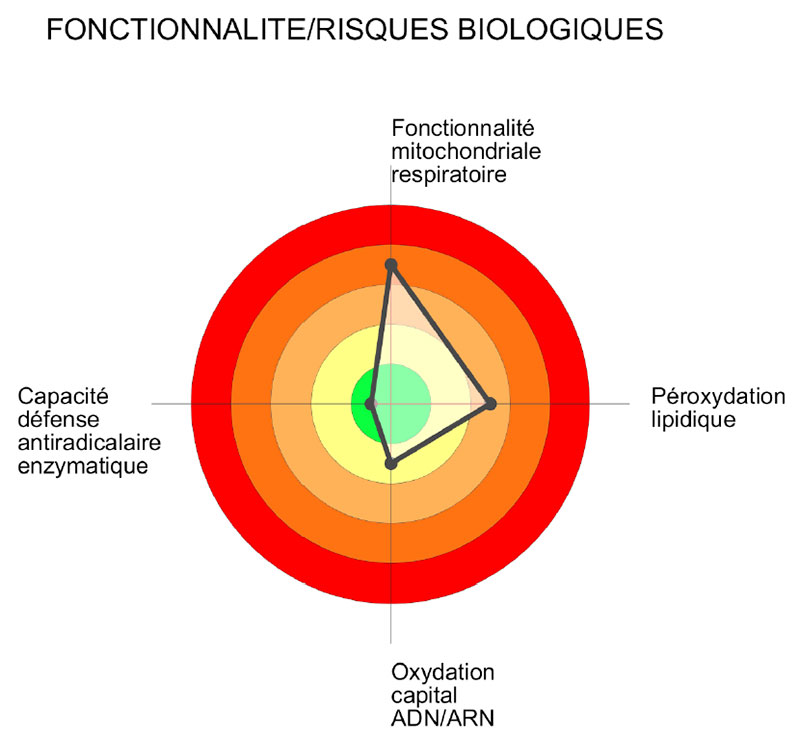Bilan du Stress Oxydatif (BSO)