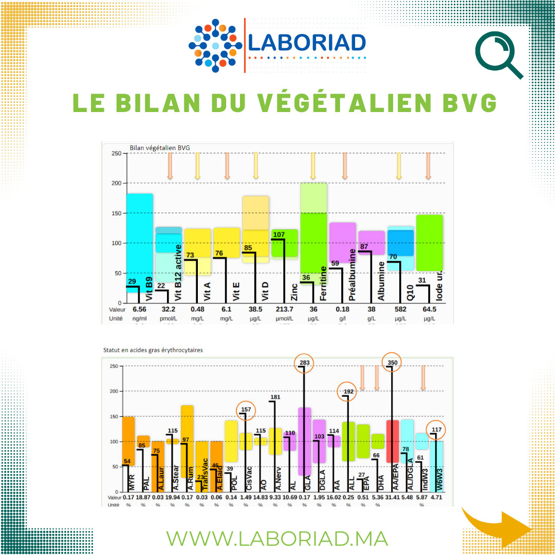 Bilan du Végétalien (BVG)