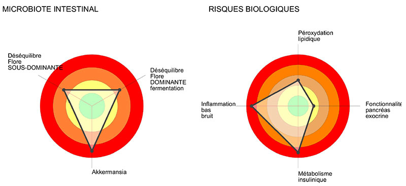 Bilan Surpoids – Obésité (sang, selles)