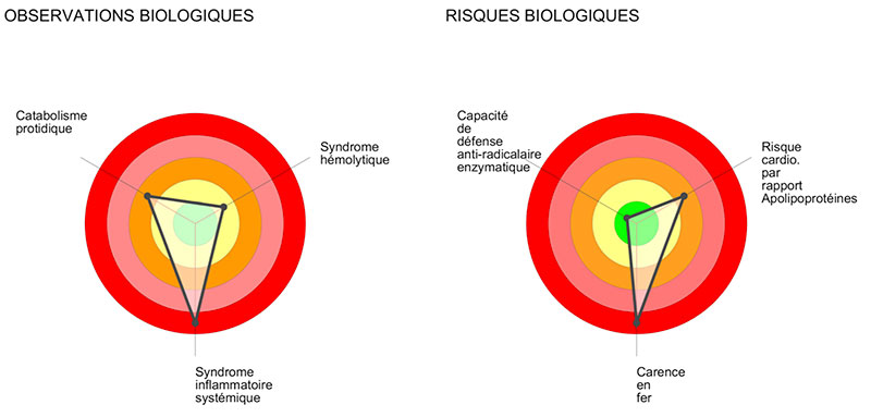 Bilan Nutritionnel & Antiradicalaire (BNAR)