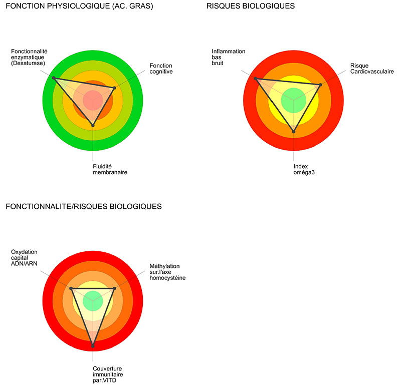 Bilan Onco Biologique (BOB)