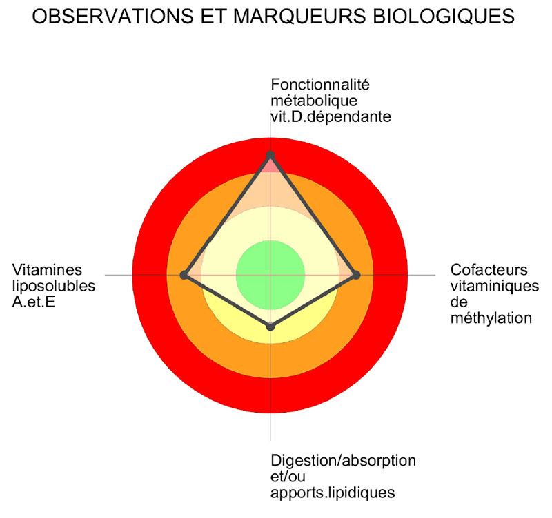Profil Vitaminique Complet